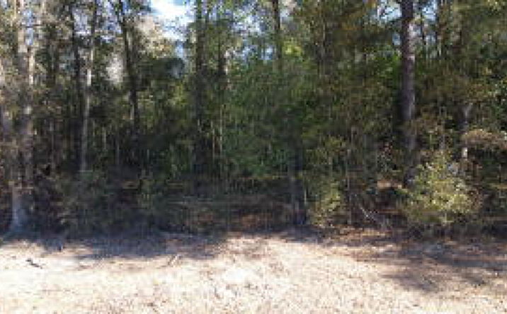 Pictures of Land property located at 1 St Street, Jackson, SC 29831 for sales - image #1