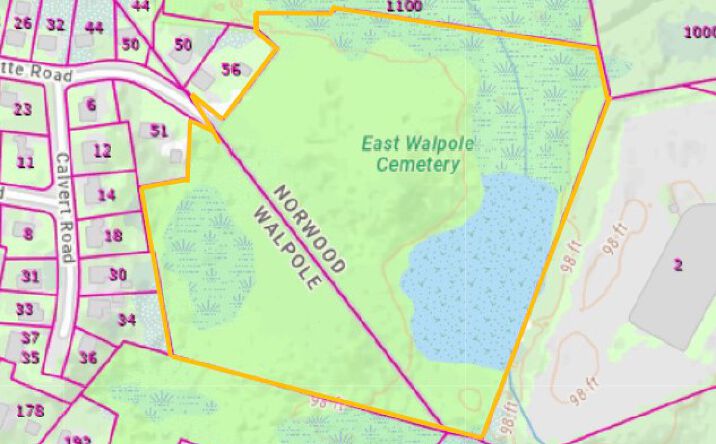 Pictures of Land property located at Off Pleasant Street, Walpole, NH 03608 for sales - image #1