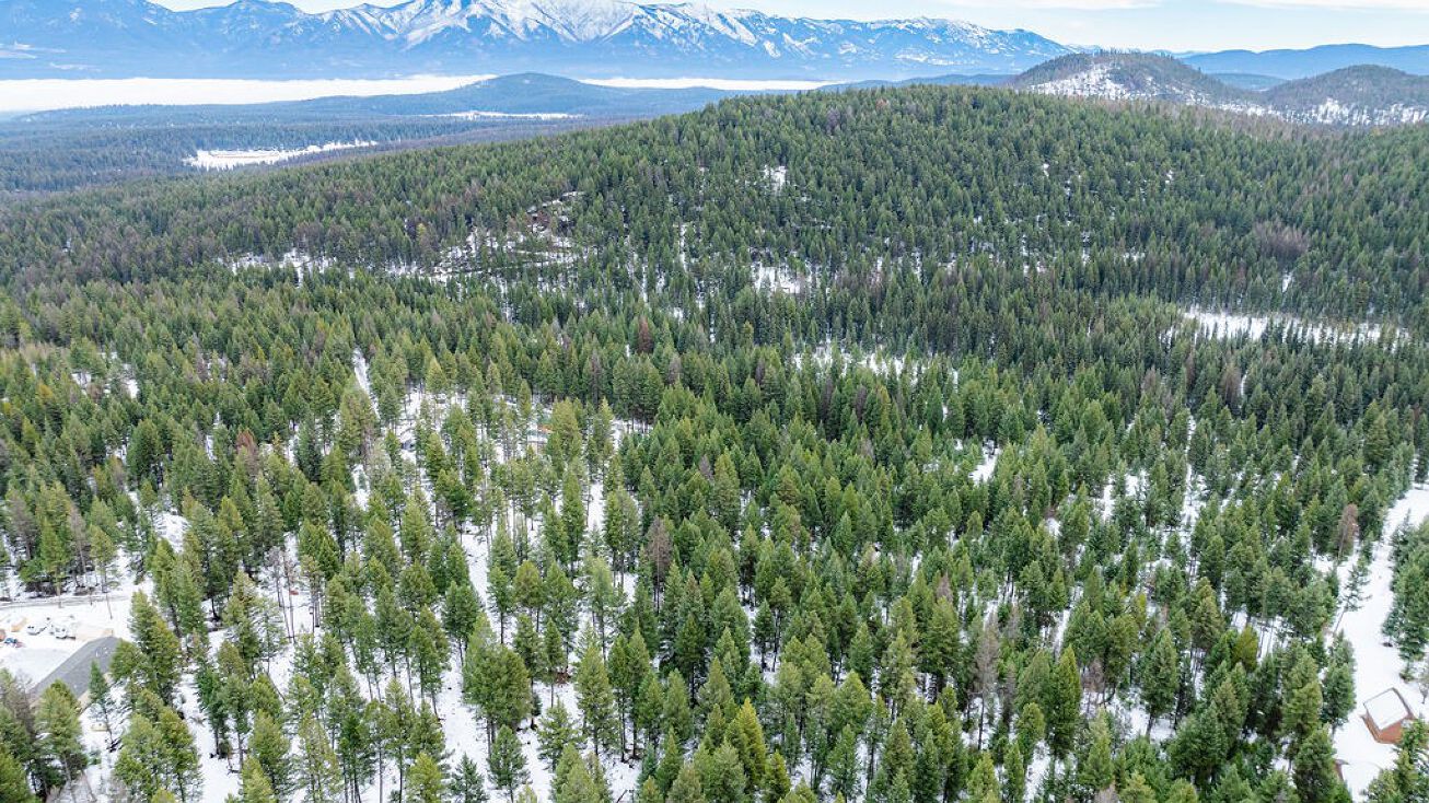 392 Whitetail Meadow Road, Fortine, MT 59918