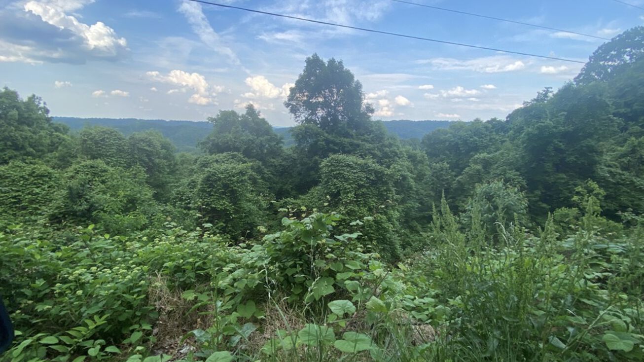 Arwood Hollow Rd, Rowe, VA 24646