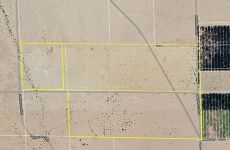 20113981