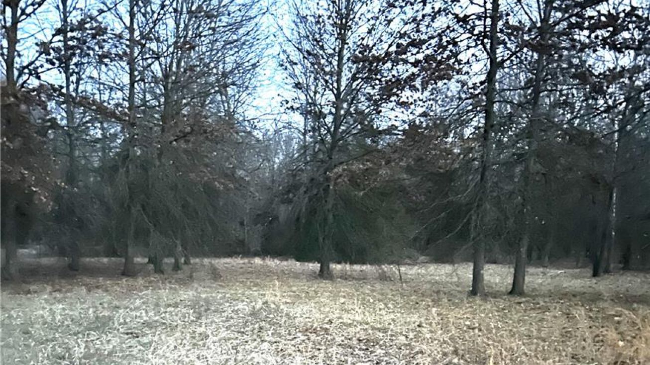 15275 S 25 Road, Sheldon, MO 64784