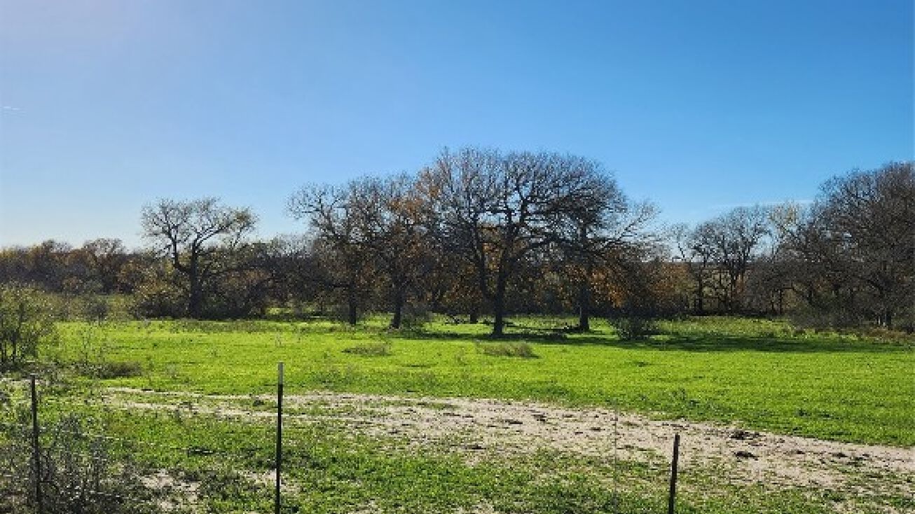 00 C. R. 414 Road, Buckholts, TX 76518