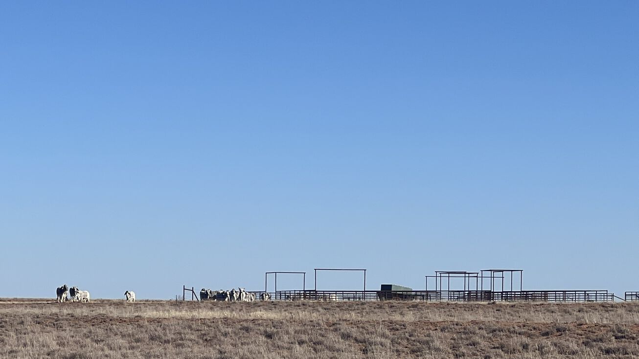 Co Rd 21, Estelline, TX 79233