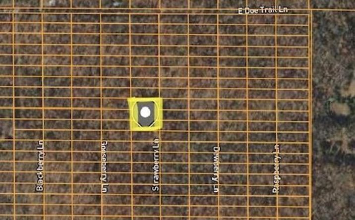 Pictures of Land property located at 1401-1405 Strawberry Lane, Horseshoe Bend, AR 72512 for sales - image #1