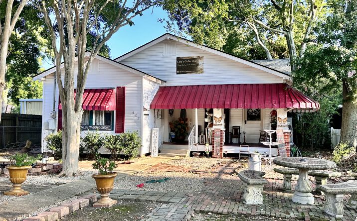 Pictures of Office, Retail property located at 407 E Ascension St, Gonzales, LA 70737 for sales - image #1