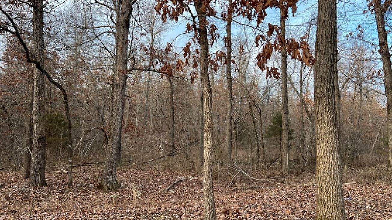 917 Foxfield Road, Mammoth Spring, AR 72554