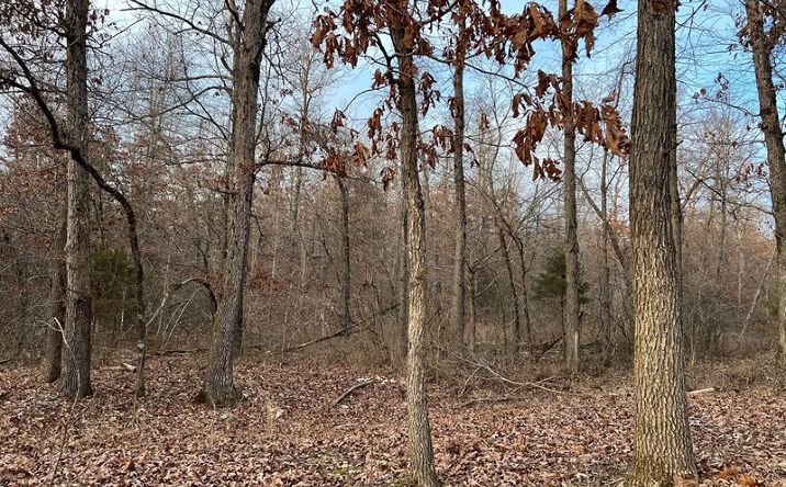 Pictures of Land property located at 917 Foxfield Road, Mammoth Spring, AR 72554 for sales - image #1