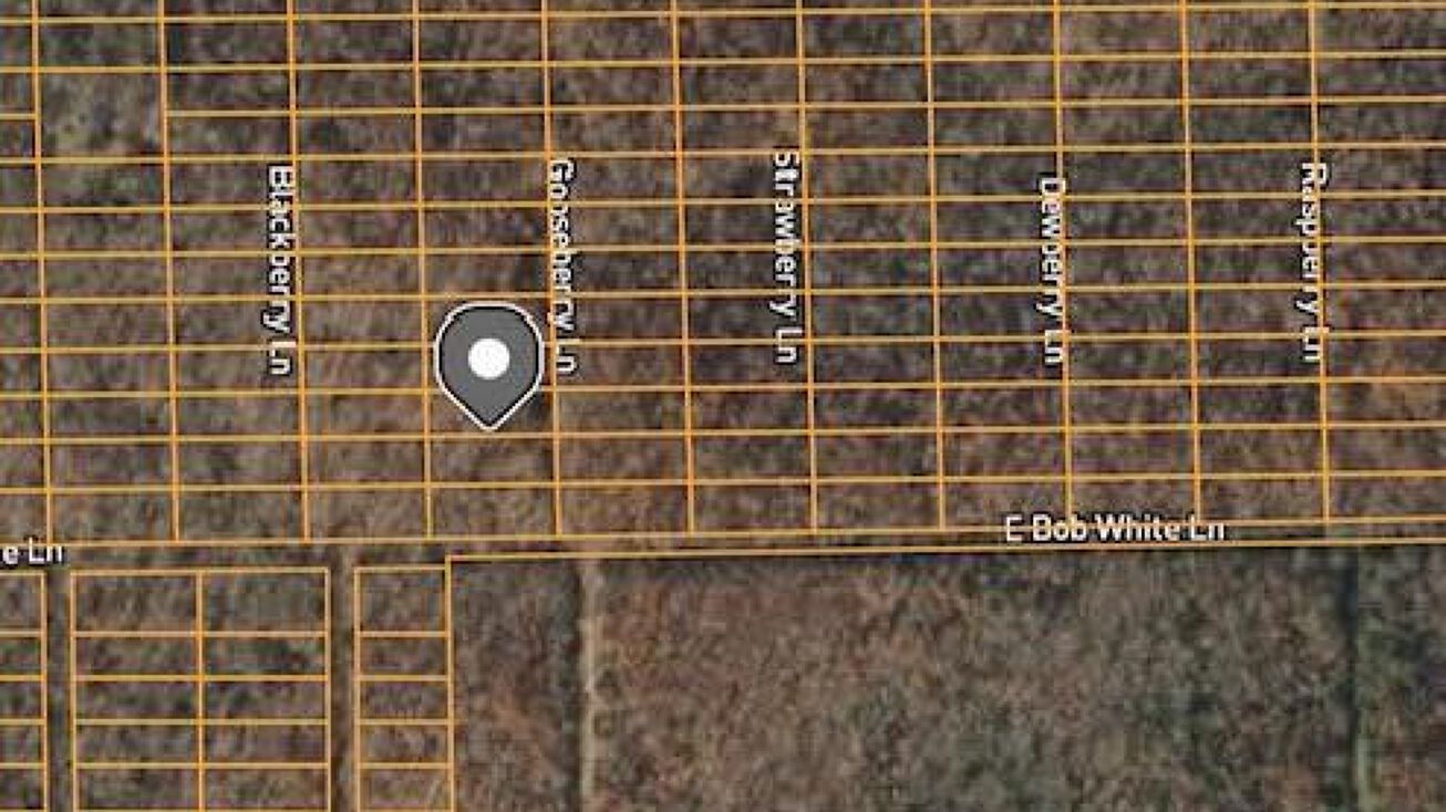 1309 Gooseberry Ln, Horseshoe Bend, AR 72512