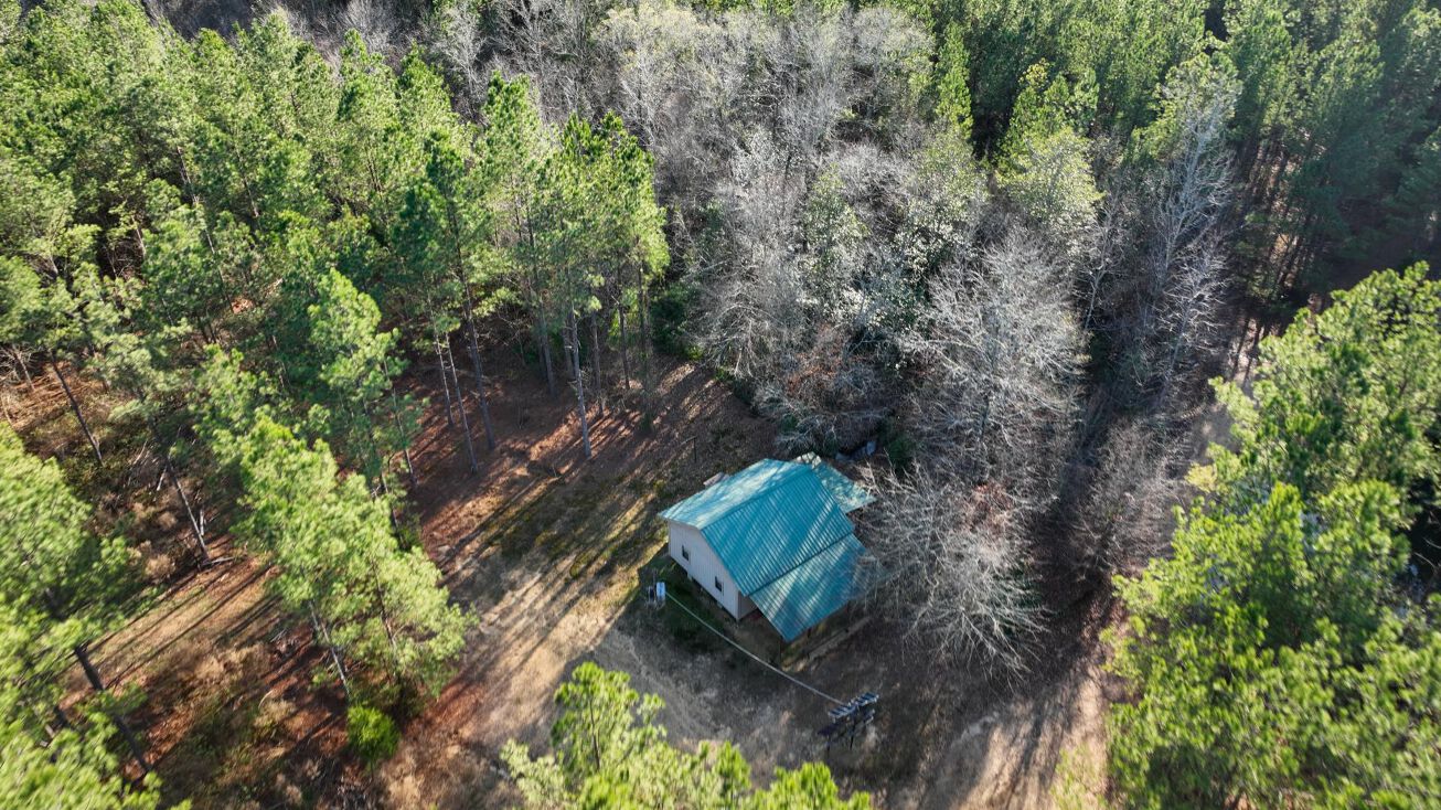 1371 White Rd, Beaverton, AL 35544