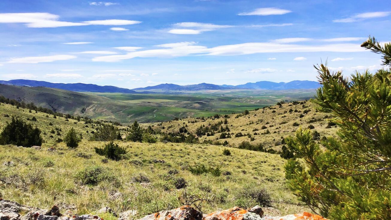 NHN Milligan Canyon Road, Cardwell, MT 59721