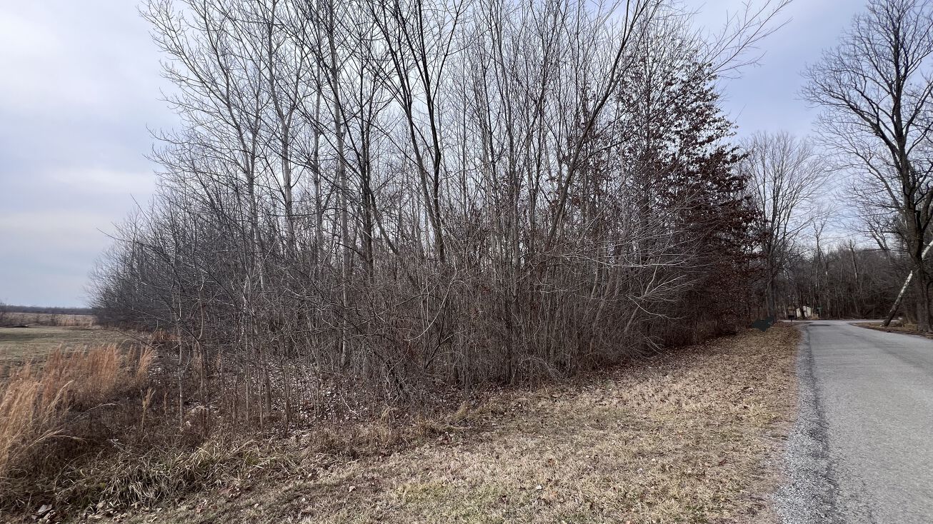 11 Choctaw Drive, Carbondale, IL 62901