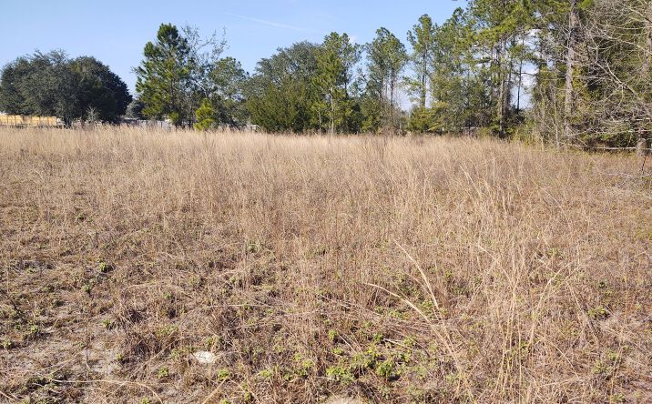 Pictures of Land property located at 4164 COUNTY ROAD 218, Middleburg, FL 32068 for sales - image #1