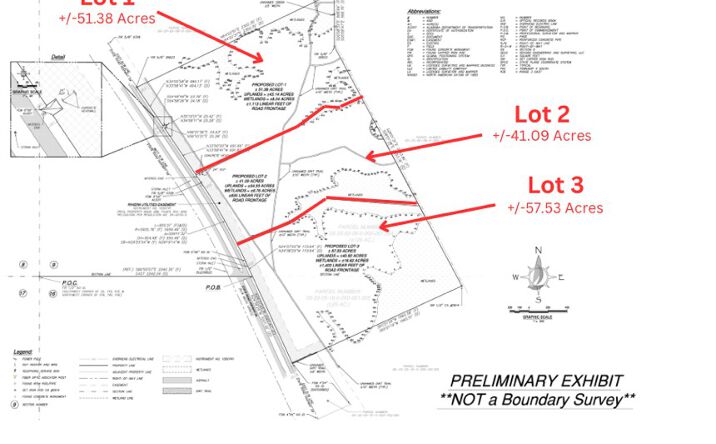 Pictures of Land property located at AL Hwy 59, Loxley, AL 36551 for sales - image #1