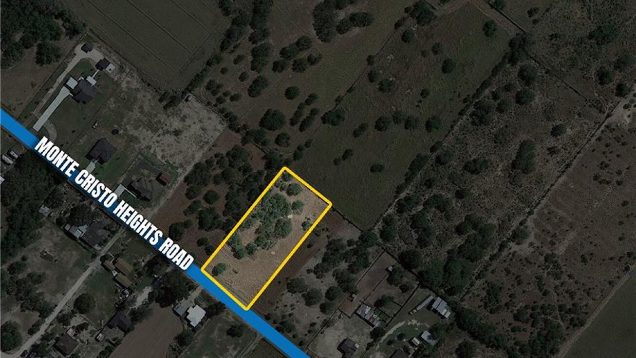 000 Monte Cristo Heights Road, Edinburg, TX 78541