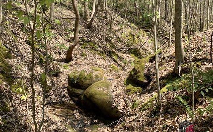 Pictures of Land property located at Golf Course Rd, Elberton, GA 30635 for sales - image #1