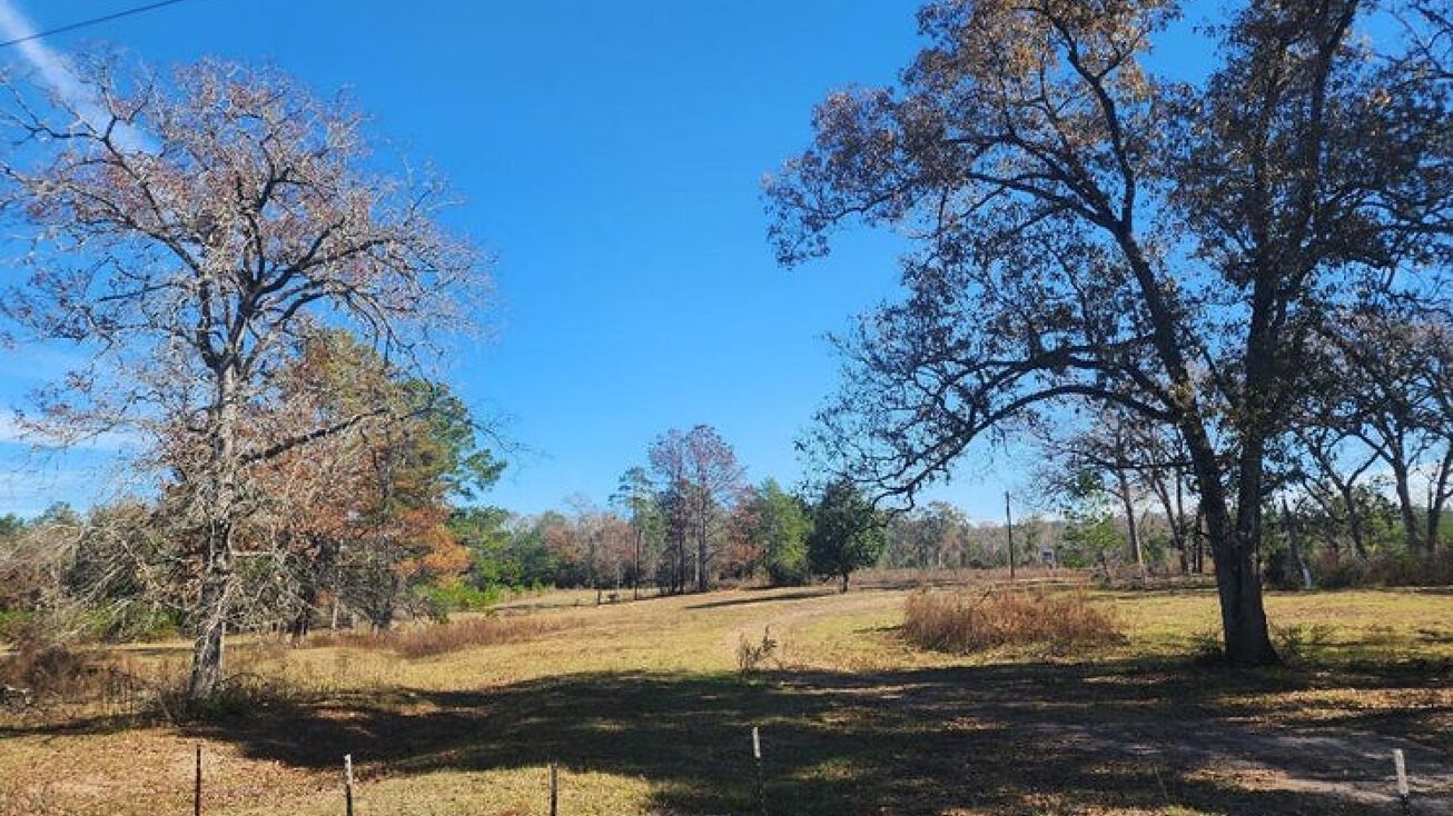 Farris Loop, Merryville, LA 70653