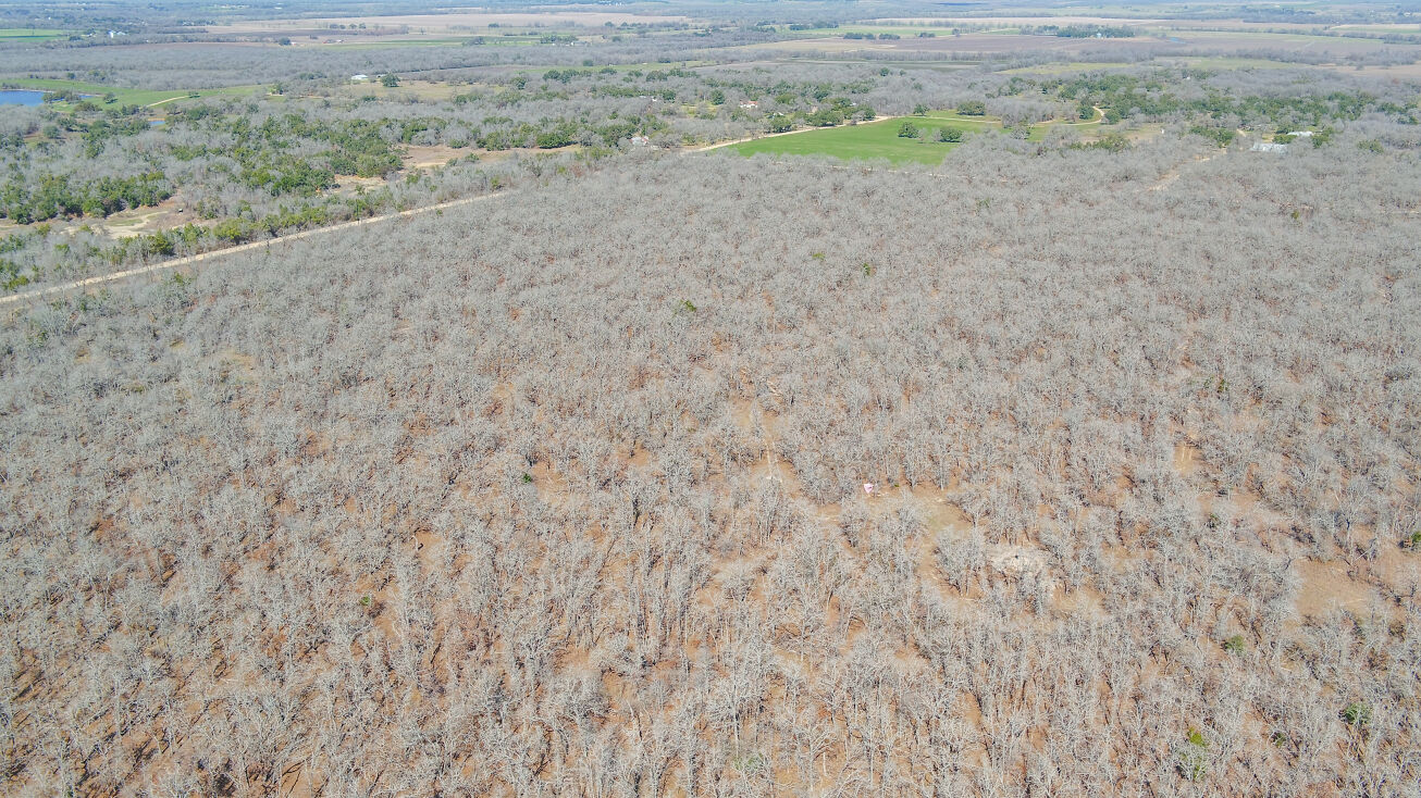 Co Rd 405, Buckholts, TX 76518