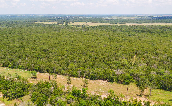 Pictures of Land property located at Co Rd 405, Buckholts, TX 76518 for sales - image #1