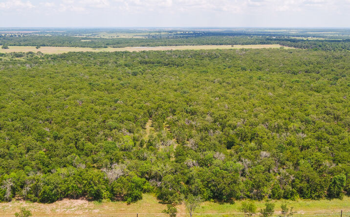 Pictures of Land property located at Co Rd 405, Buckholts, TX 76518 for sales - image #1