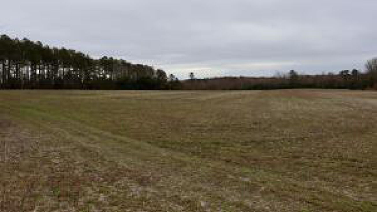 0 Cool Springs Road, Pinewood, SC 29125