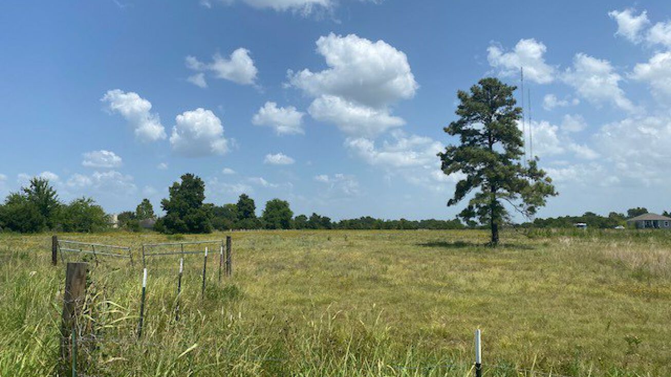 0000 Longstreet, Willis, TX 77318