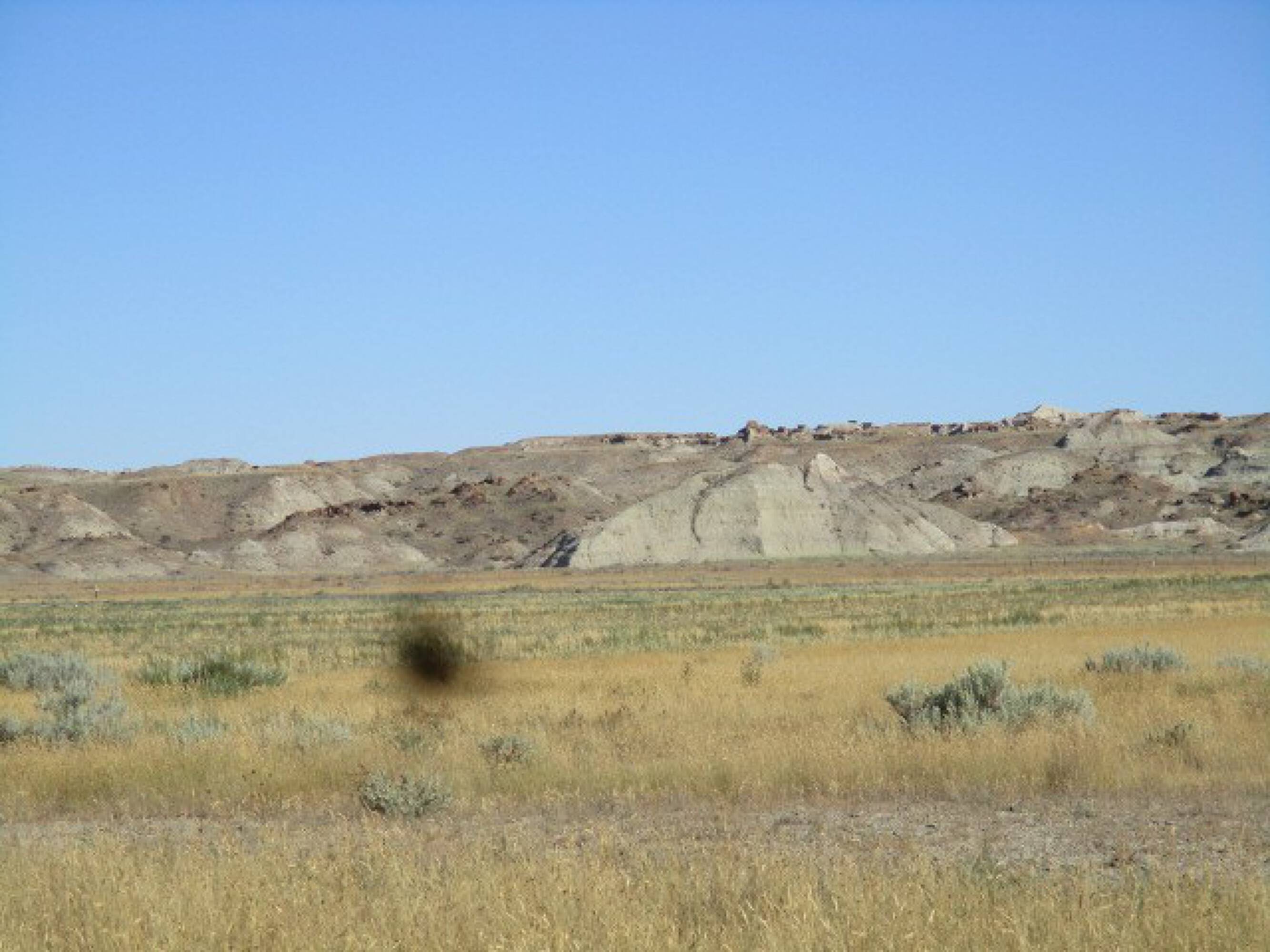 2000 River Rd, Havre, MT 59501