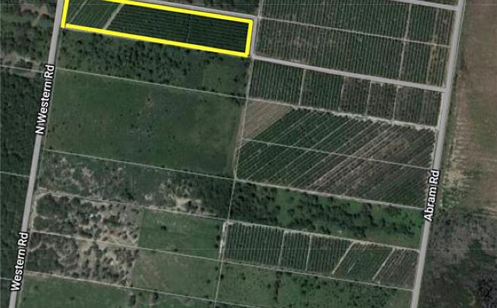 Pictures of Land property located at 0 Western Road, Mission, TX 78574 for sales - image #1
