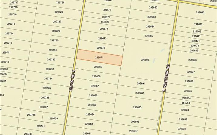 Pictures of Land property located at 0 E Texan Road, Mission, TX 78572 for sales - image #1