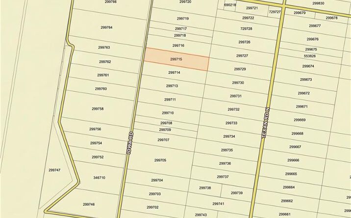 Pictures of Land property located at 0 W Iowa Road, Mission, TX 78572 for sales - image #1