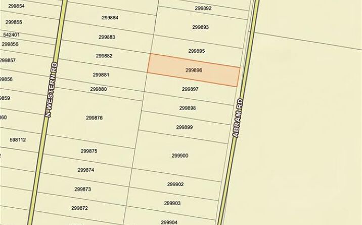 Pictures of Land property located at 0 Abram Road, Mission, TX 78572 for sales - image #1