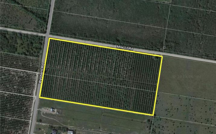 Pictures of Land property located at 0 Western Road, Mission, TX 78574 for sales - image #1