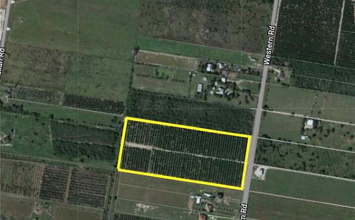 Pictures of Land property located at 0 Western Road, Mission, TX 78574 for sales - image #1
