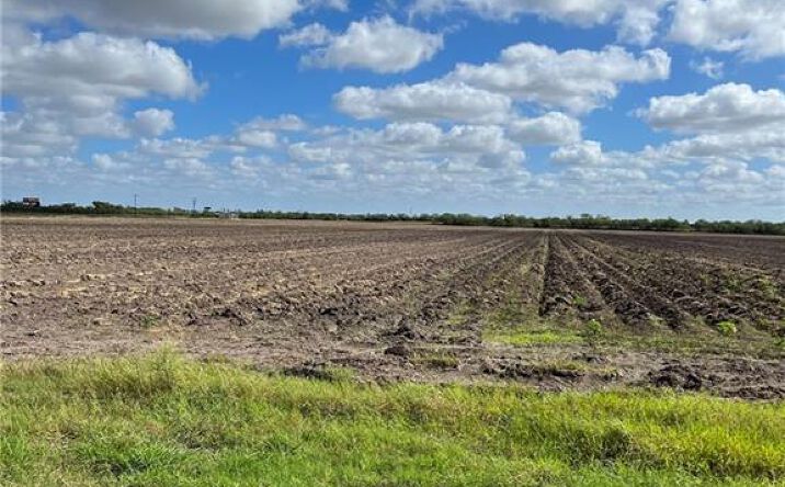 Pictures of Land property located at --- Business 83 Highway, Mercedes, TX 78570 for sales - image #1