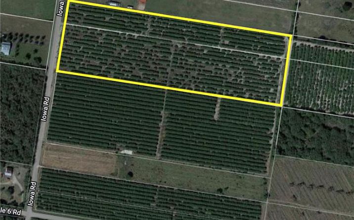 Pictures of Land property located at 0 Iowa Road, Mission, TX 78574 for sales - image #1