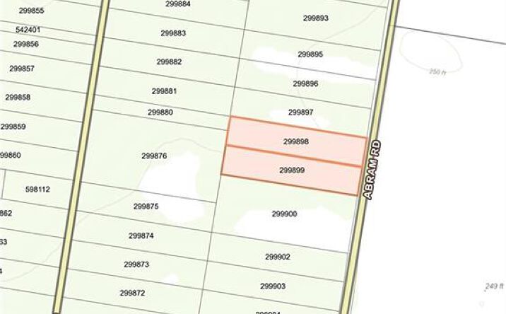 Pictures of Land property located at 0 Abram Road, Mission, TX 78572 for sales - image #1
