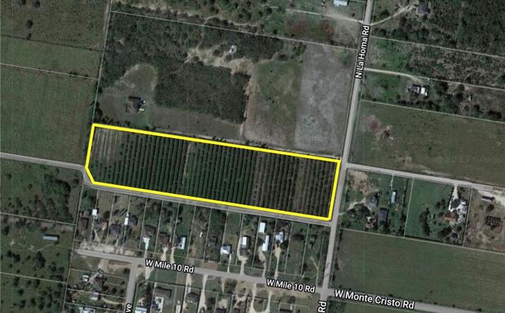 Pictures of Land property located at 0 La Homa Road, Mission, TX 78572 for sales - image #1