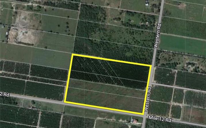 Pictures of Land property located at 0 N Western Road, Mission, TX 78574 for sales - image #1