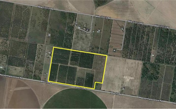 Pictures of Land property located at 0 Mile 17 Road, Edinburg, TX 78541 for sales - image #1