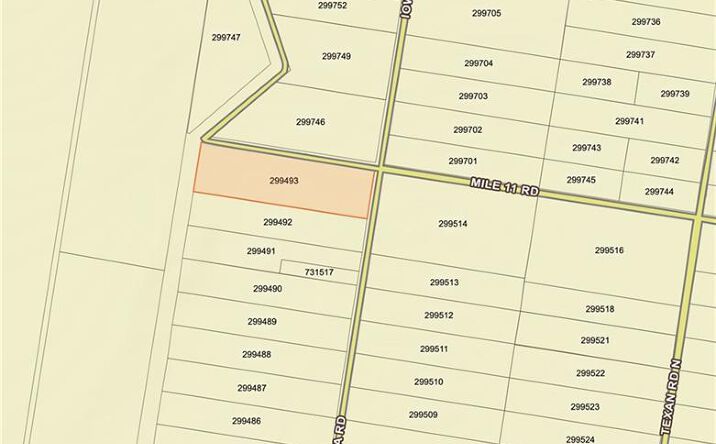Pictures of Land property located at 0 W Iowa Road, Mission, TX 78572 for sales - image #1