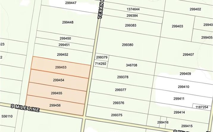Pictures of Land property located at 0 Texan Road, Mission, TX 78572 for sales - image #1
