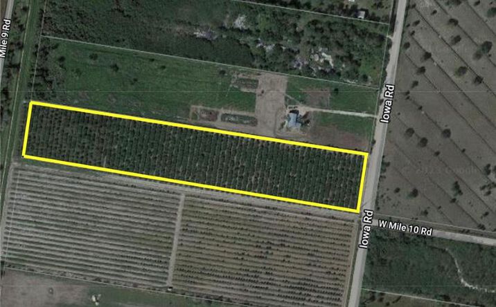 Pictures of Land property located at 0 Iowa Road, Mission, TX 78541 for sales - image #1