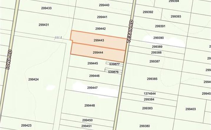 Pictures of Land property located at 0 Texan Road, Mission, TX 78572 for sales - image #1