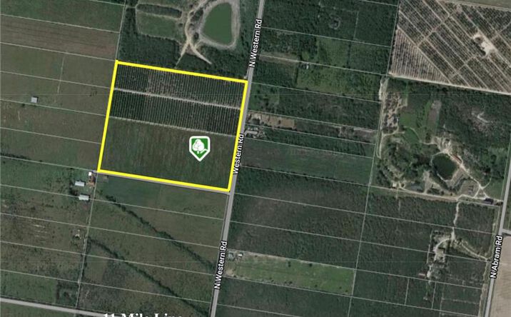 Pictures of Land property located at 0 N Western Road, Mission, TX 78574 for sales - image #1