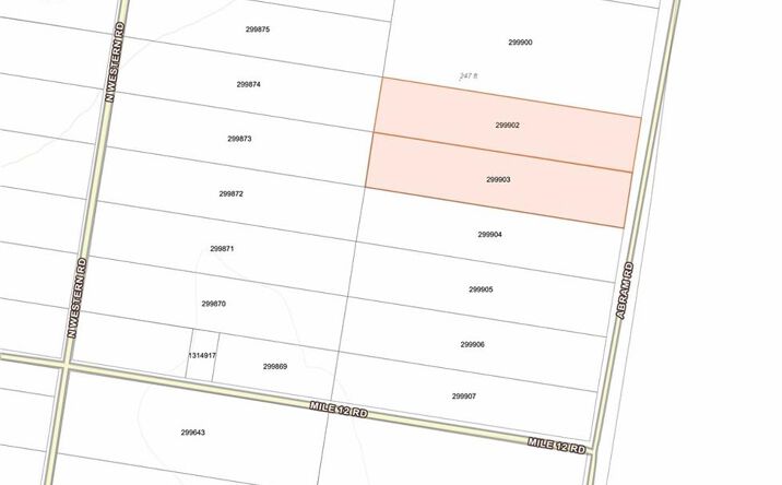Pictures of Land property located at 0 Abram Road, Mission, TX 78572 for sales - image #1