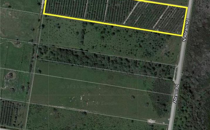Pictures of Land property located at 0 Abram Road, Mission, TX 78574 for sales - image #1