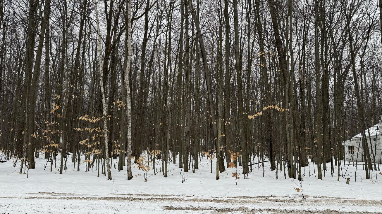 Michaywe Dr, Gaylord, MI 49735