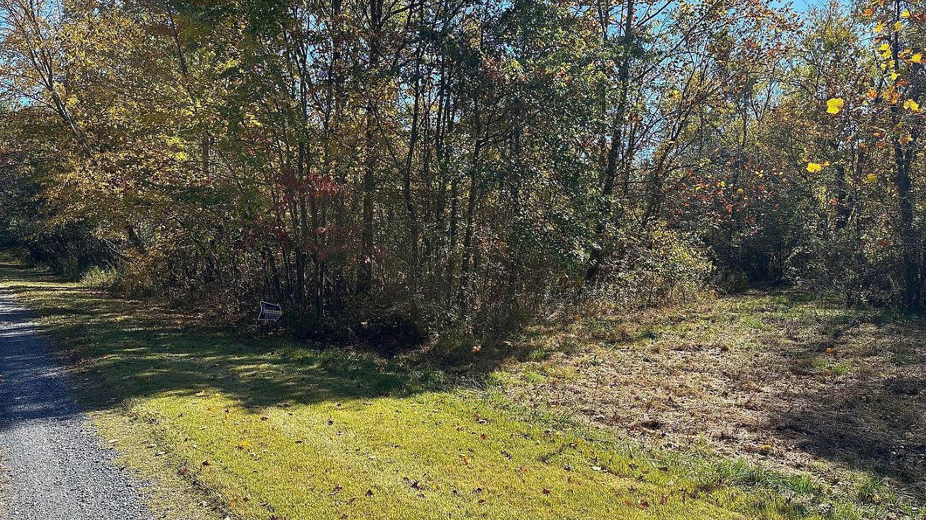 Bolton Branch Ln, Huntly, VA 22640