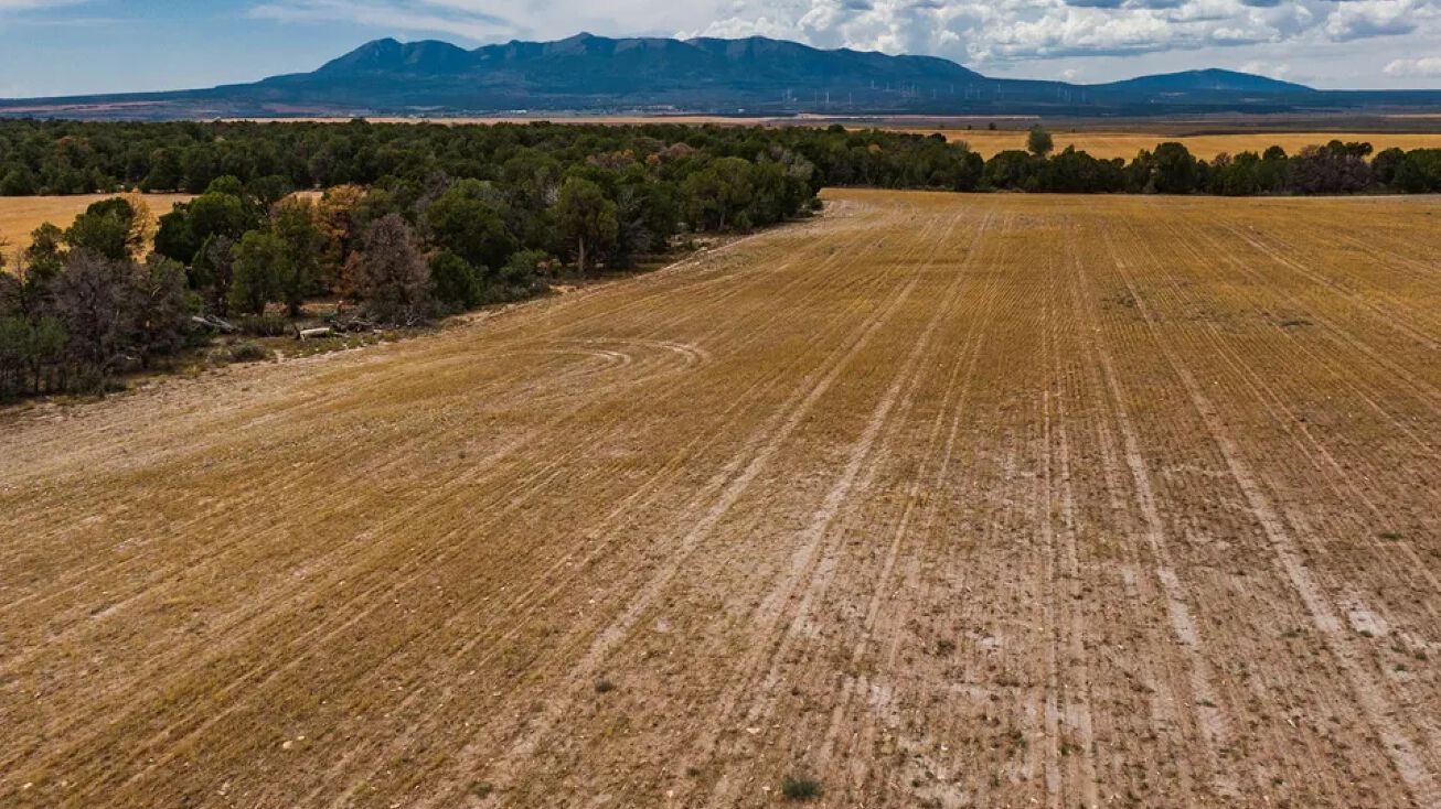 TDS, Monticello, UT 84535