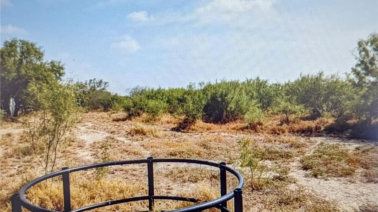 000 Buena Vista Street, Penitas, TX 78576